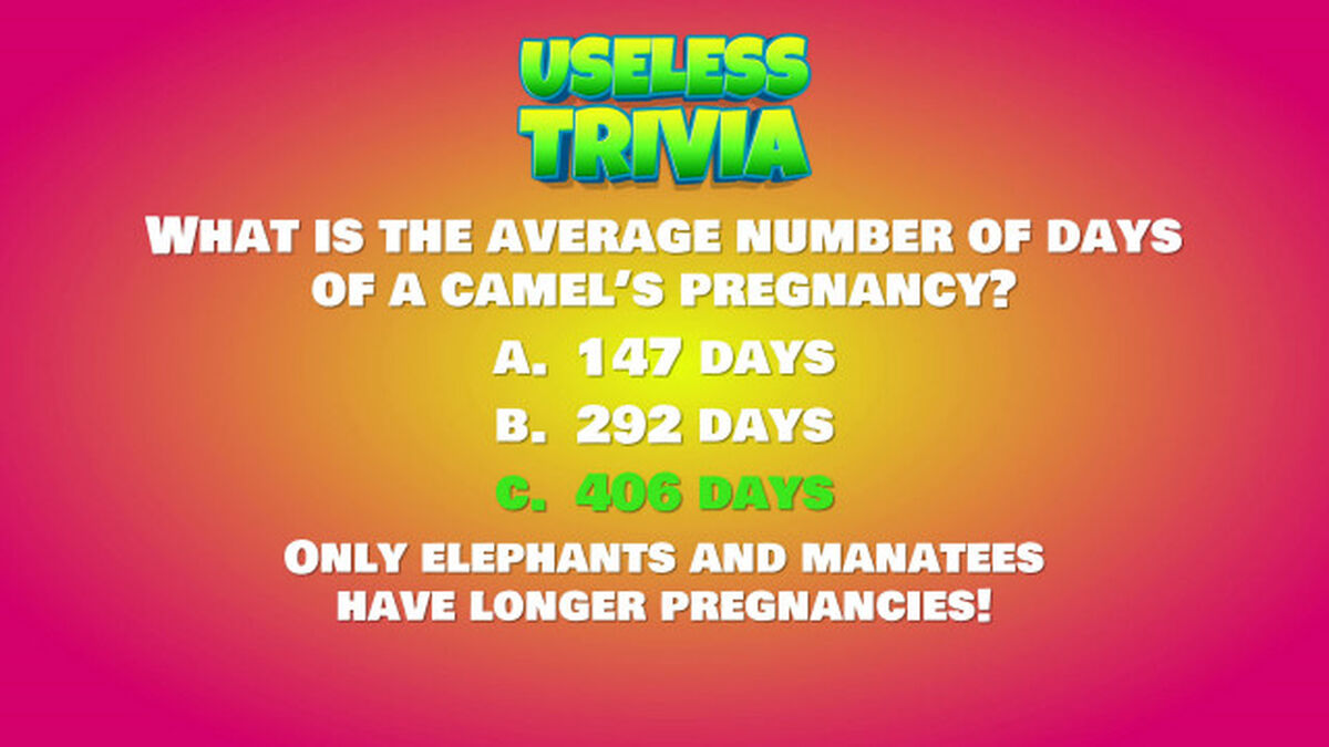 Useless Trivia image number null